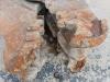 Trevi Benne FR28P Photo 7 thumbnail