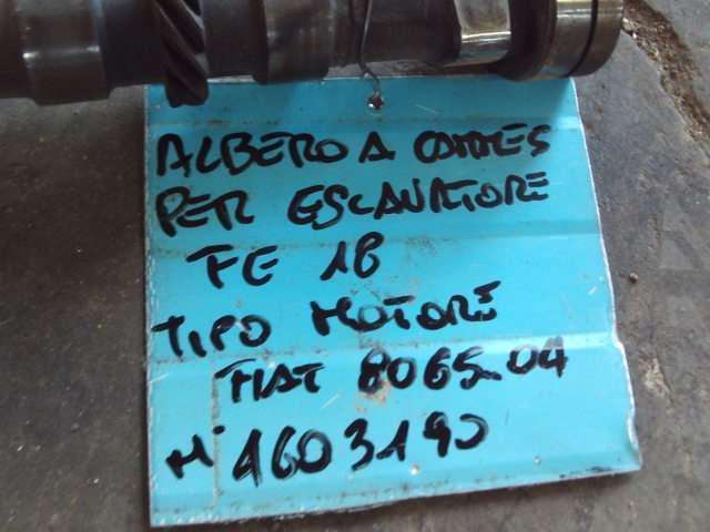 Arbre à cames pour Fiat Allis FE18 - MOTORE FIAT 8065.04 - N. 4603190 Photo 4