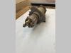Joint tournant pour Hitachi ZX135US Photo 4 thumbnail