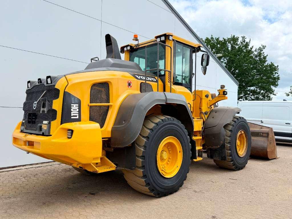 Volvo L110H - Weight System / Backup Camera Photo 5