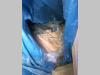 LB01V00019R400 Piston pour New Holland E305C Photo 4 thumbnail