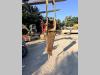 Indeco HP2500 Photo 3 thumbnail