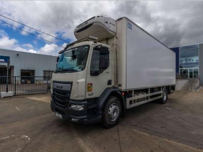 Daf LF55 250+FRIGO MONO TEMP+HAYON en vente par Braem NV