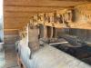 Liebherr PR736LGP Photo 11 thumbnail