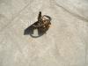 Distributeur d'embrayage de direction pour FIAT ALLIS - DOZER FL20 - FD20 Photo 2 thumbnail
