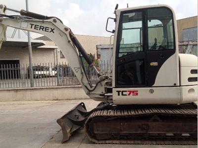 Terex TC75 en vente par Galli Battista Srl