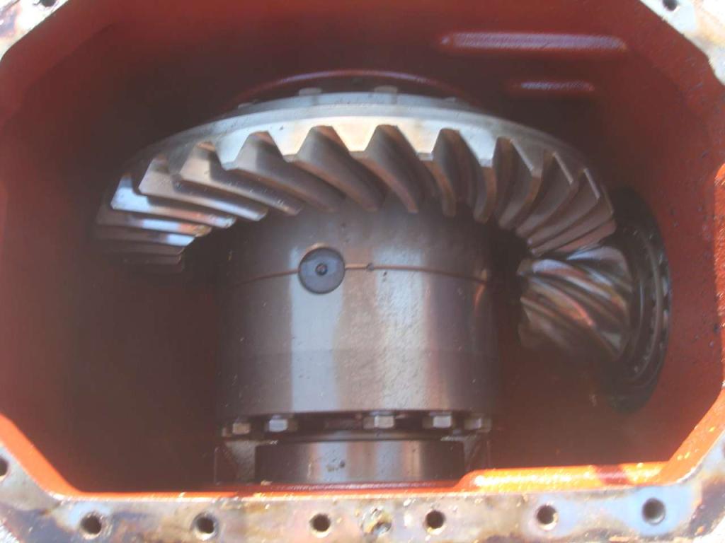 Engrenage différentiel pour Fiat Hitachi W 130 Photo 5