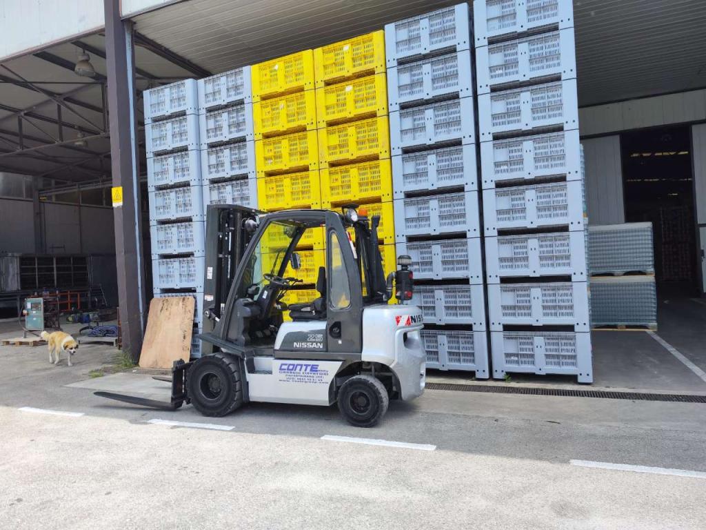 Nissan DX25 Photo 2