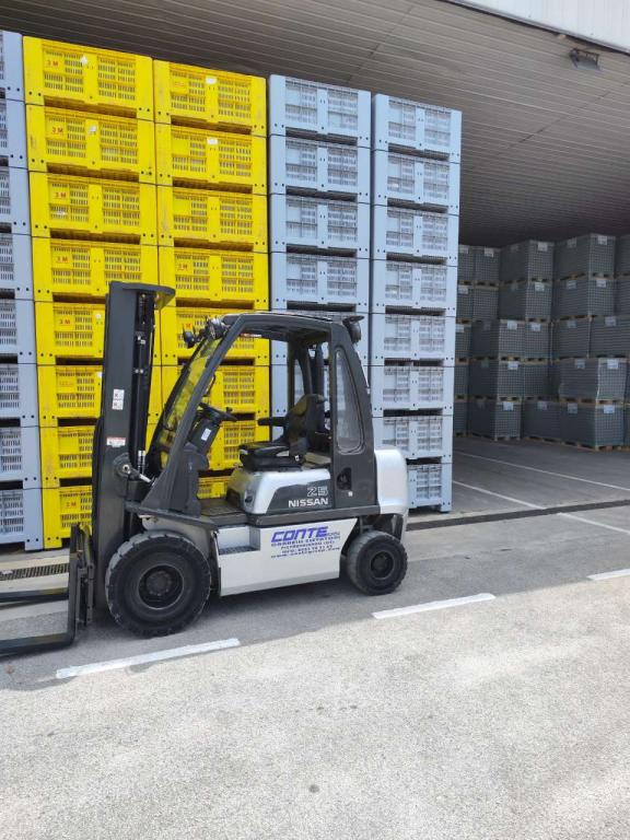 Nissan DX25 Photo 3