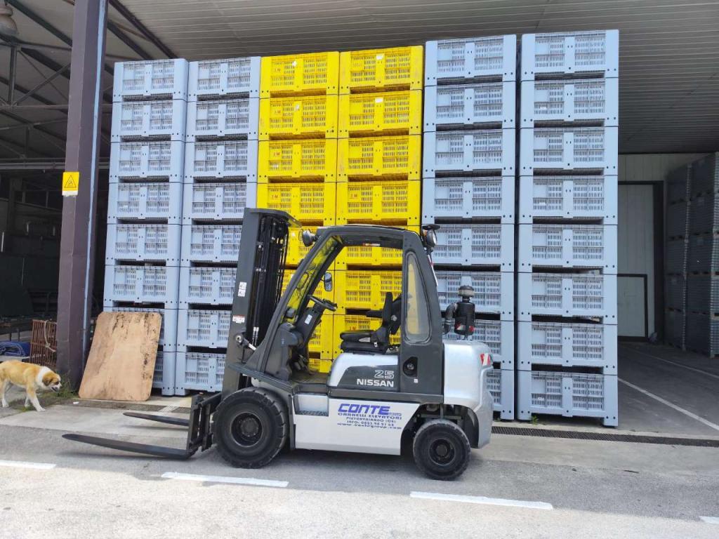 Nissan DX25 Photo 5