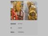 Caterpillar TRASMISSIONE USATA CAT 6Y7414 Photo 2 thumbnail