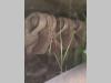 Meccanica Corsetti TRM Photo 9 thumbnail