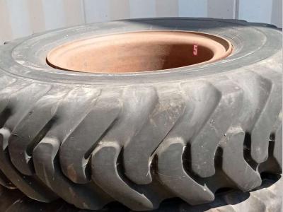 Pirelli FUORISTRADA 16.00-24 CON CERCHI en vente par REDAGEST S.R.L.