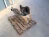 Miller Volvo EC290 / EC300 Geith Photo 1 thumbnail