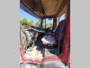 Iveco 80E28 Photo 5 thumbnail
