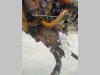 Pompe hydraulique de transmission pour Fiat Allis FL9 Photo 1 thumbnail