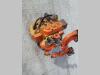 Distributeur hydraulique pour Fiat Allis FR220 Photo 1 thumbnail