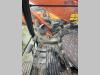 Hitachi ZX350LCN Photo 24 thumbnail