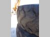Pneu avec jantes pour 26.5R25 - COMPLETI DI CERCHI - AL 30% - Photo 3 thumbnail
