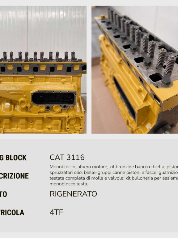 Caterpillar LONG BLOCK REVISIONATO CAT 3116 Photo 2