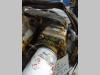 Pompe hydraulique de transmission pour Venieri 12.23 Photo 1 thumbnail