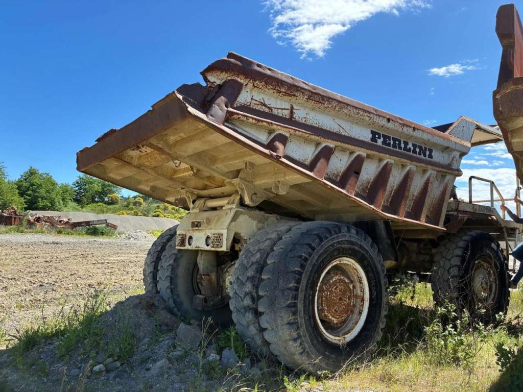 Perlini DP405 Photo 11