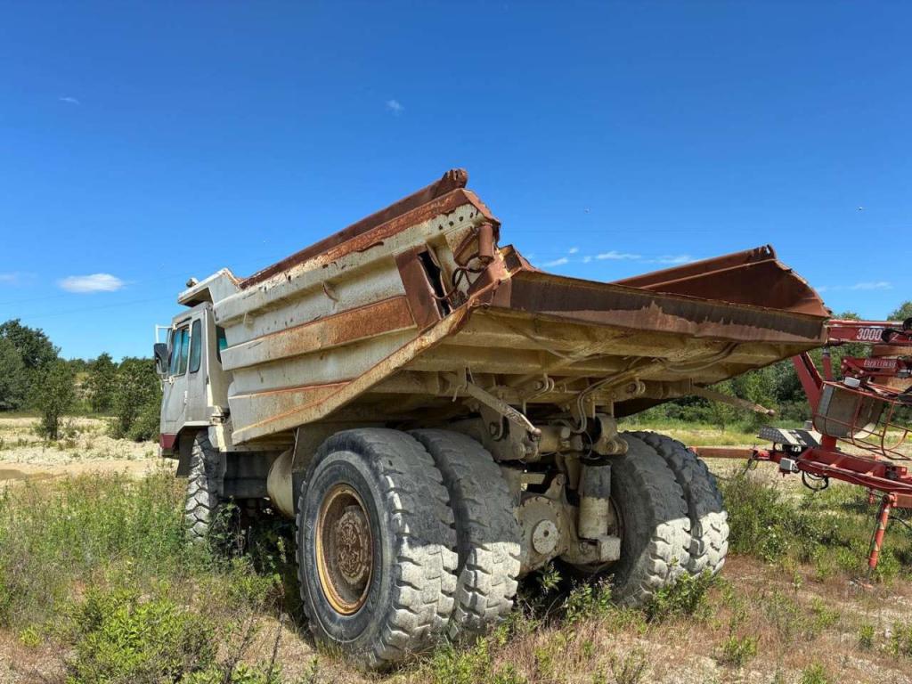 Perlini DP405 Photo 12