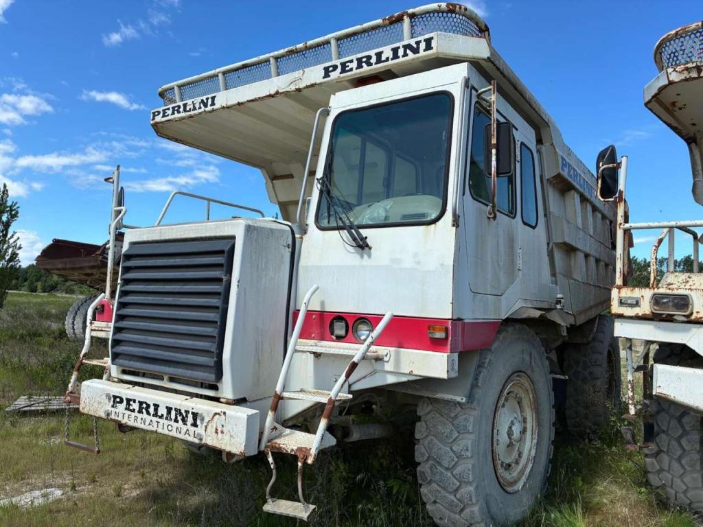 Perlini DP405 Photo 5