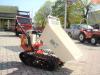 Tekna TT 350 DUMPER RIBALTAMENTO IDRAULICO Photo 1 thumbnail
