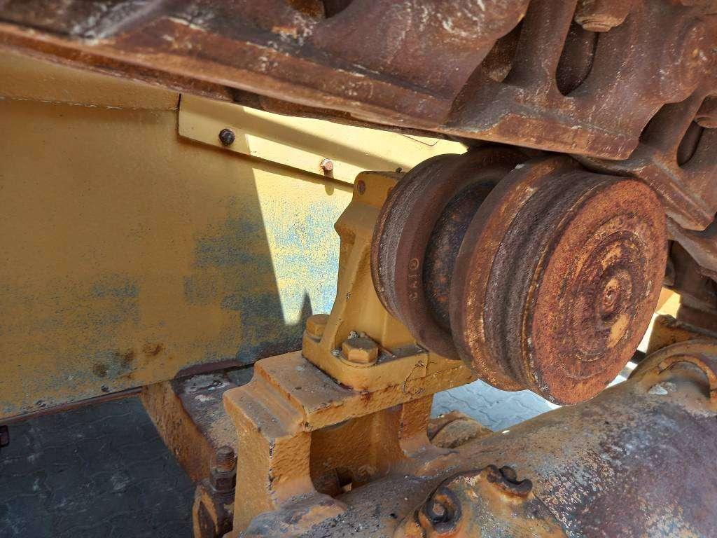 Caterpillar D6R LGP (Abu Dhabi) Photo 14