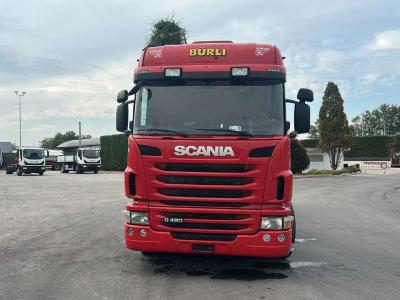 Scania G 480 en vente par Commerciale Adriatica MMT. Srl