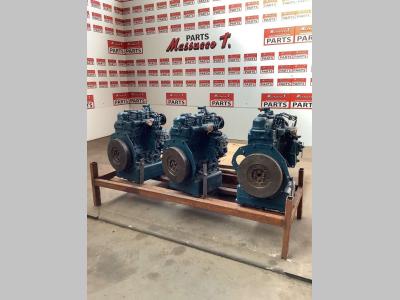 Kubota Moteur à combustion en vente par Massucco T. Srl Area Ricambi