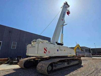 Terex Bendini TCC60 en vente par Emme Service Srl