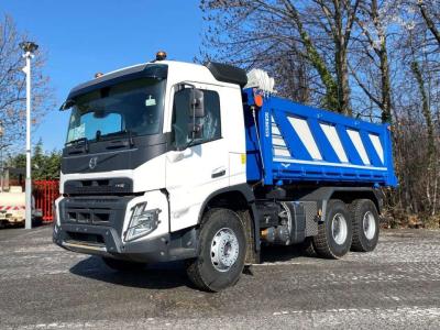 Volvo FMX 460 en vente par Massucco T. Srl