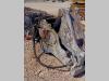 Trevi Benne FR18 Photo 4 thumbnail