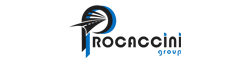 Vendeur: Procaccini Group Nord